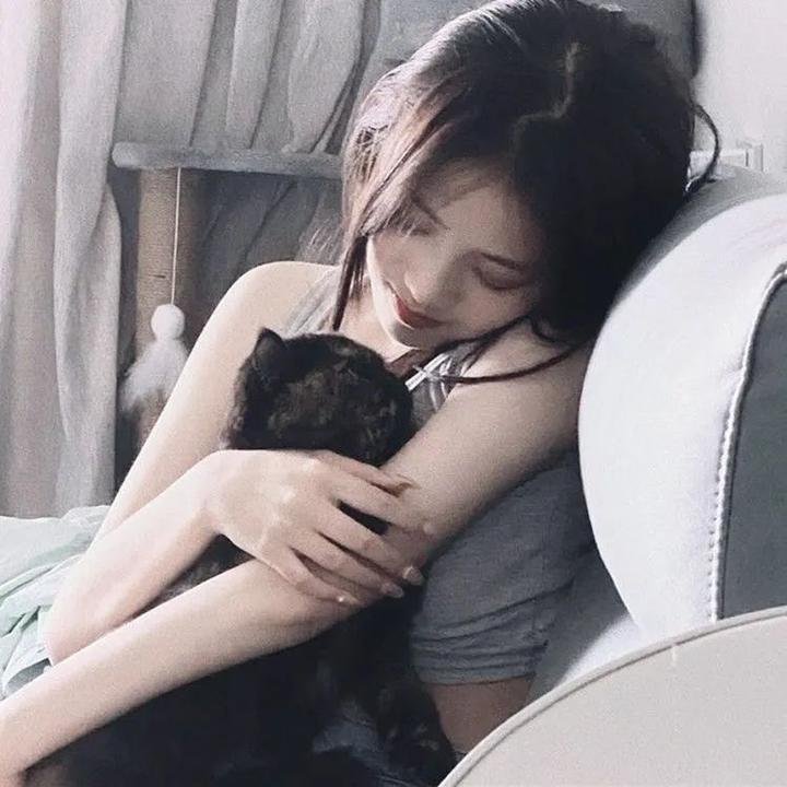 两只小猫的故事